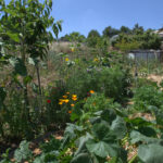 Kevad ja suve algus El Nido Felizis